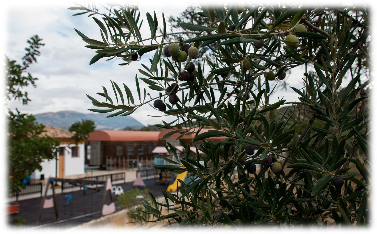 Hostal- Restaurante Estacion Via Verde Olvera Kültér fotó